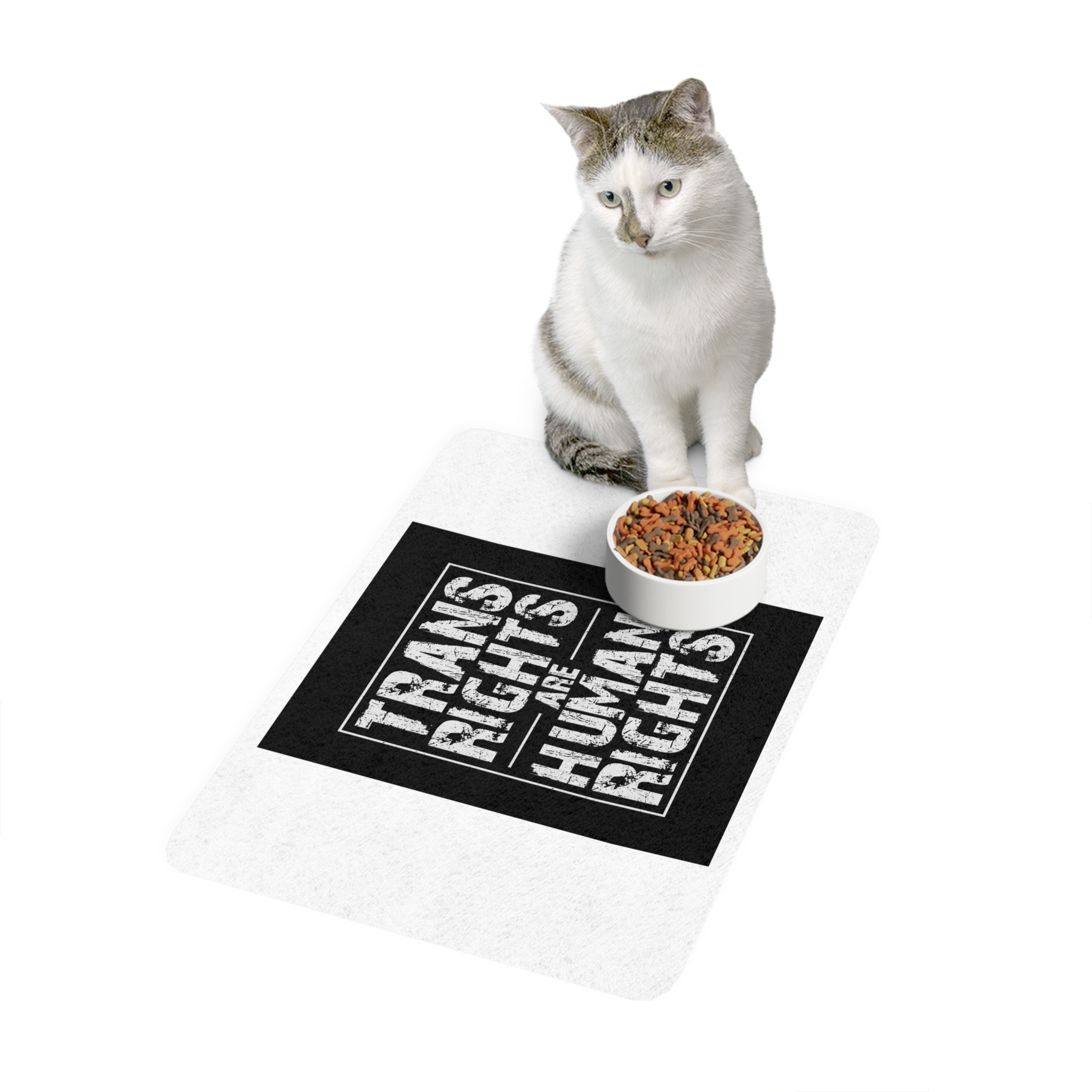 Feminism Tshirt Design Feminist Shirt Pet Food Mat 12x18 - Image 3