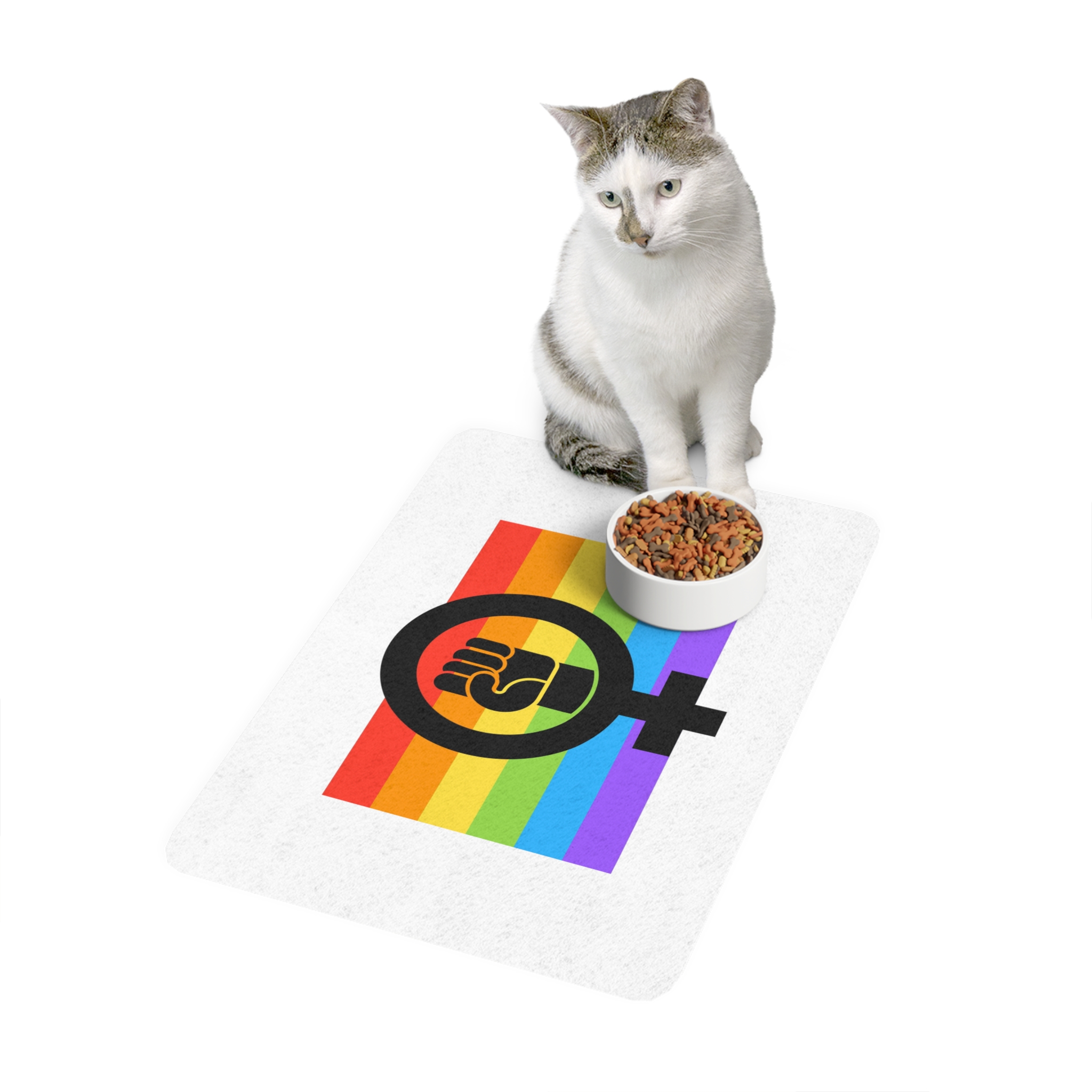 Flat Feminist Lgbt Flag Illustration Pet Food Mat 12x18 - Image 3