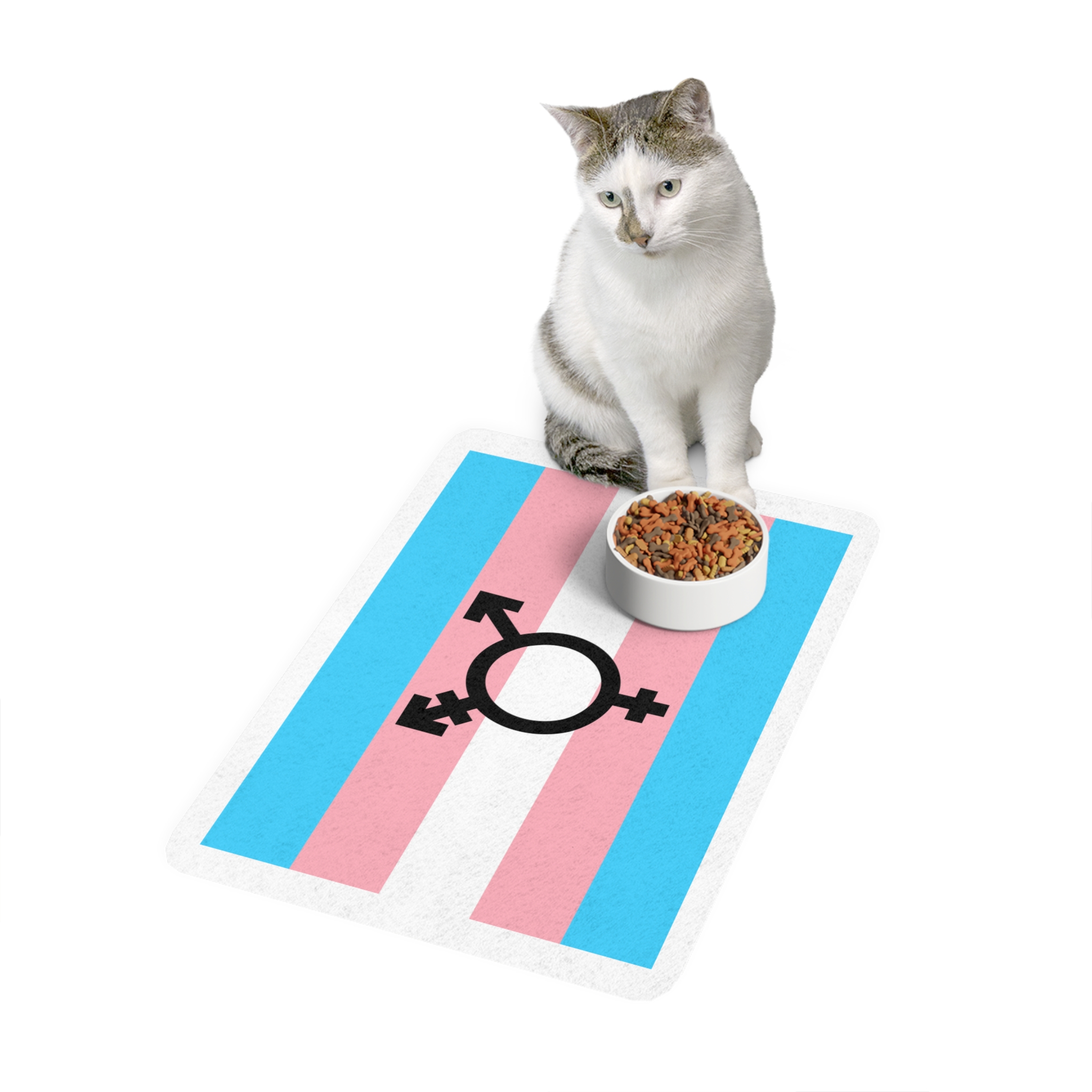 Lesbian Pride Design 8F6ADF Pet Food Mat 12x18 - Image 3