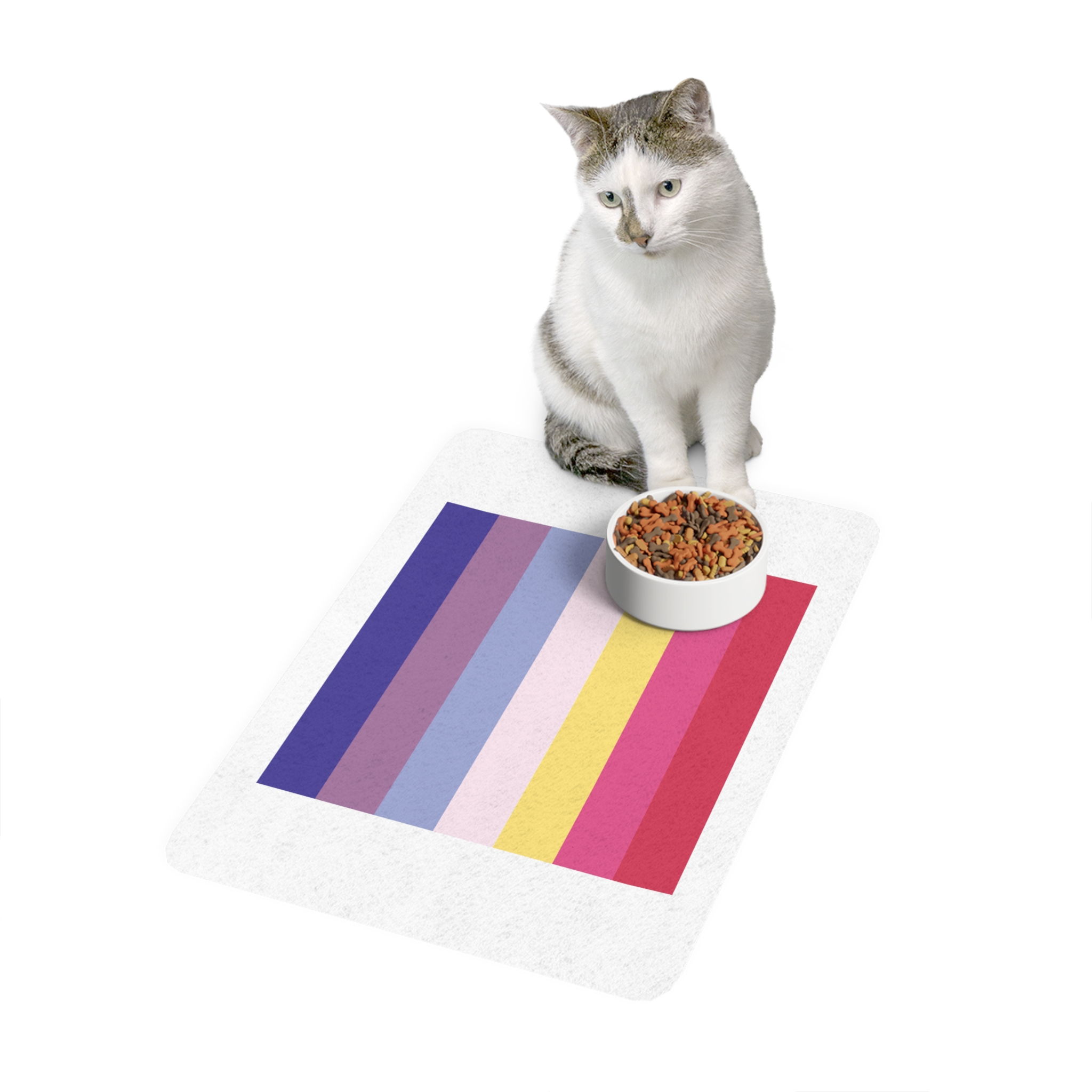 Lesbian Pride Design 4C2A73 Pet Food Mat 12x18 - Image 3
