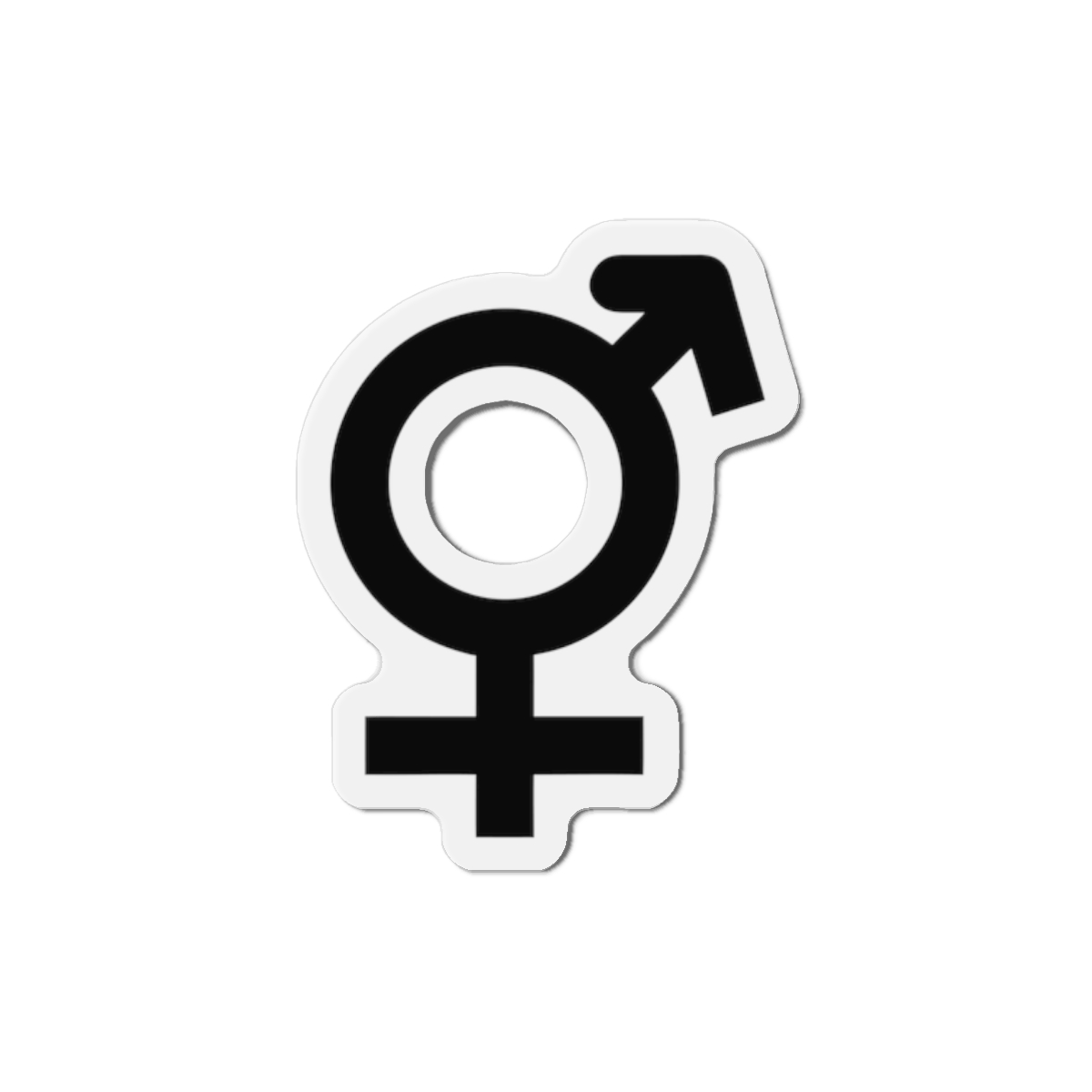 Combined Gender Symbol Diversity Identity Die Cut Magnets