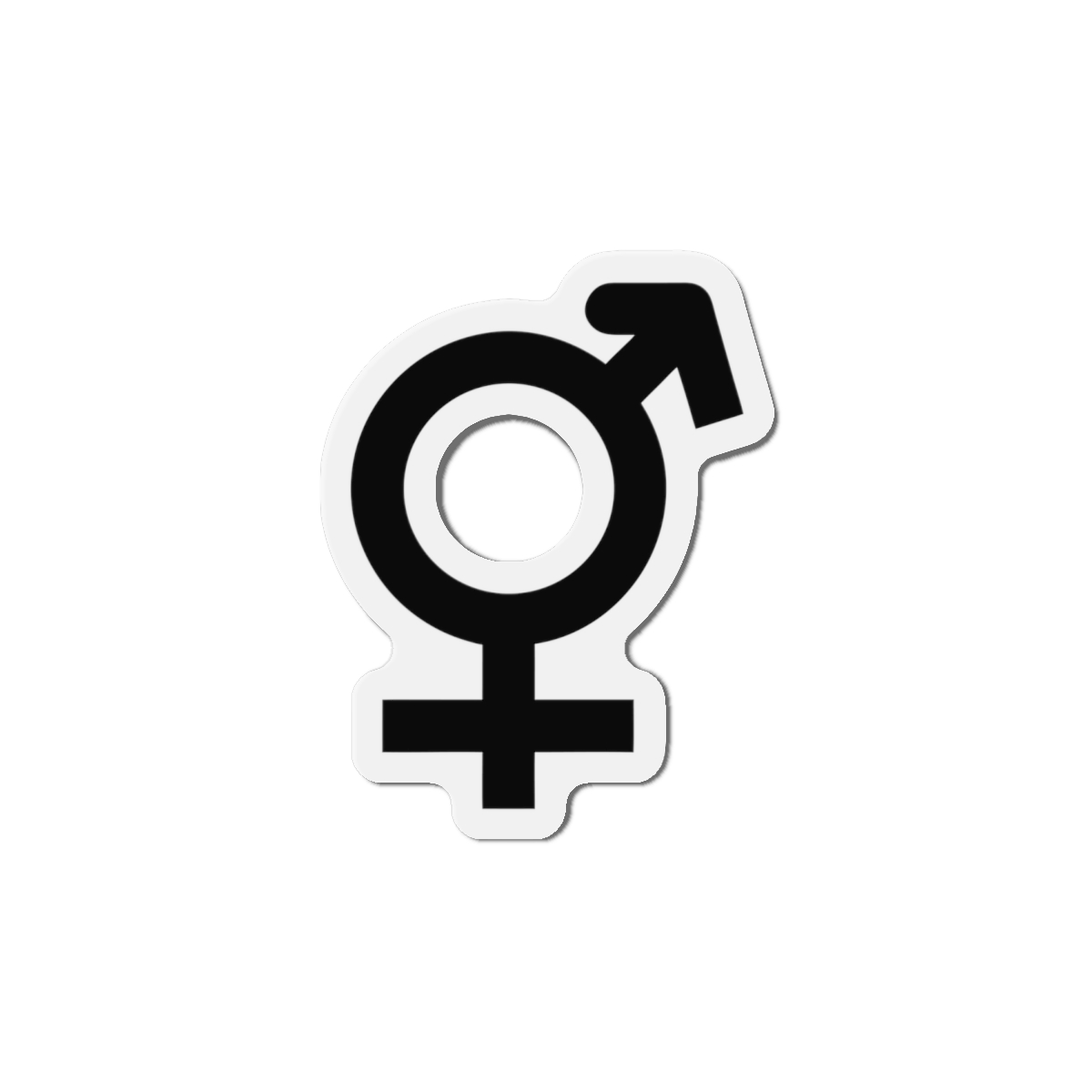 Combined Gender Symbol Diversity Identity Die Cut Magnets - Image 13