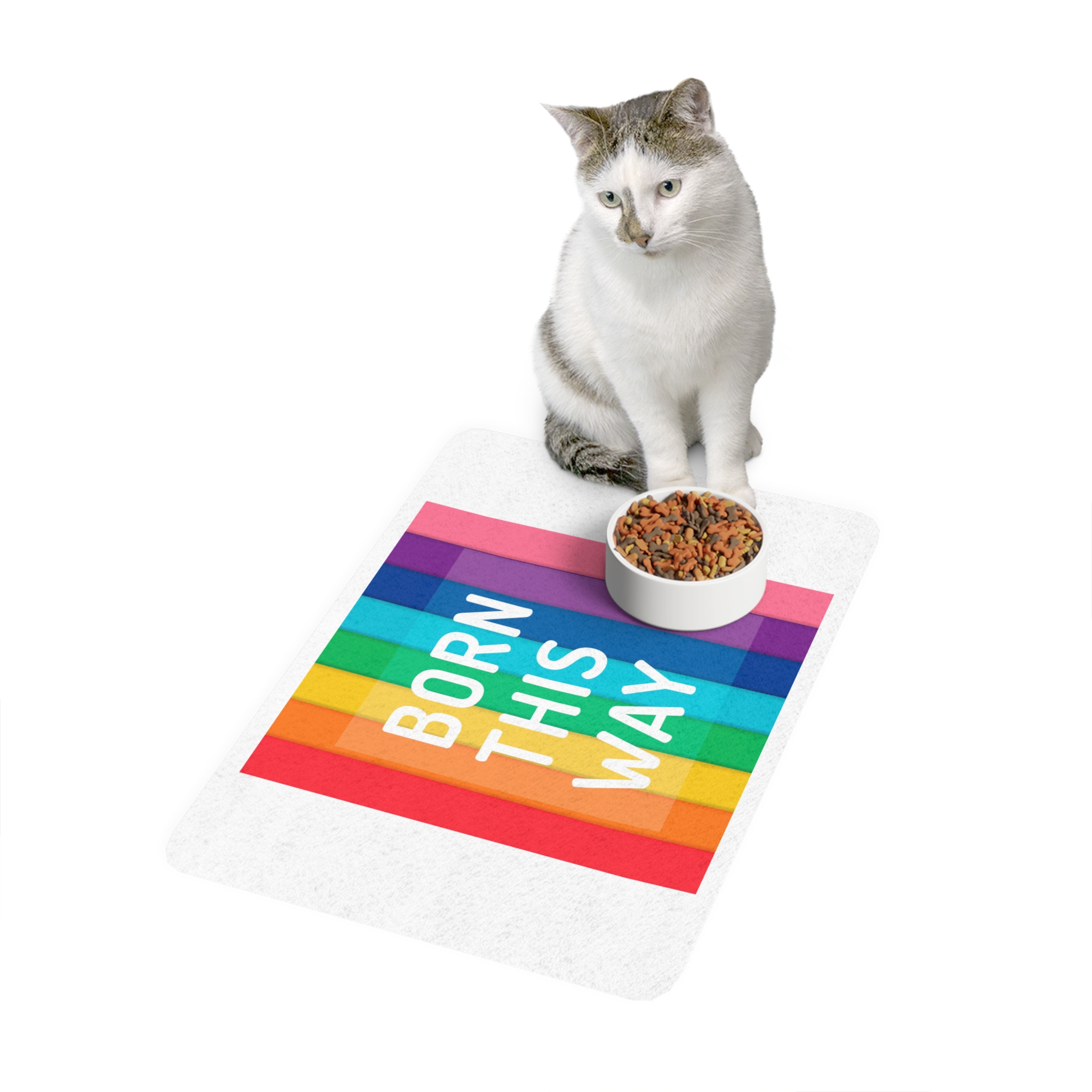 Colorful Rainbow Colored Background With Words Born This Way Pet Food Mat 12x18 - Image 3