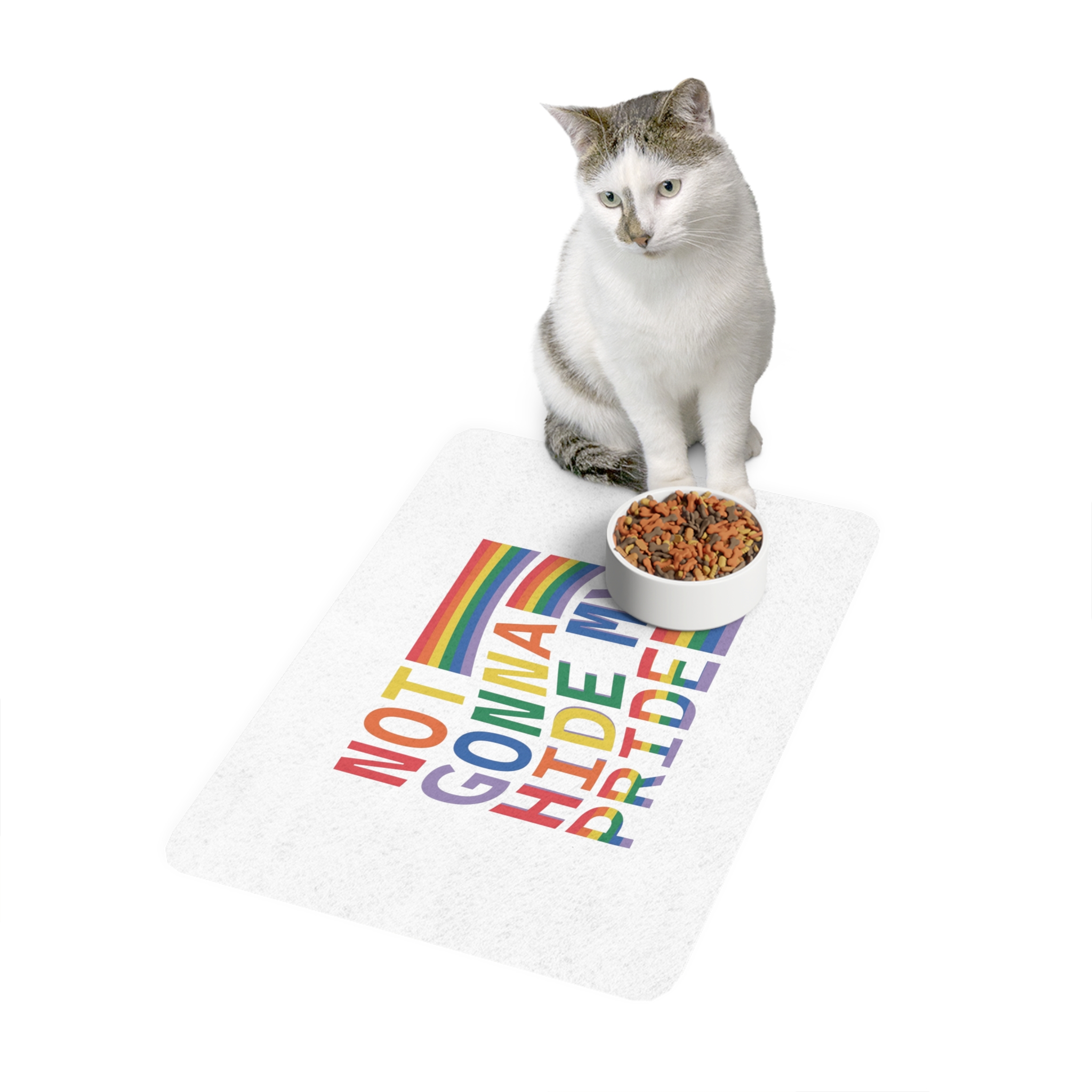 Lgbtq Pride Month Svg Design Bundle(1) (2) Pet Food Mat 12x18 - Image 3