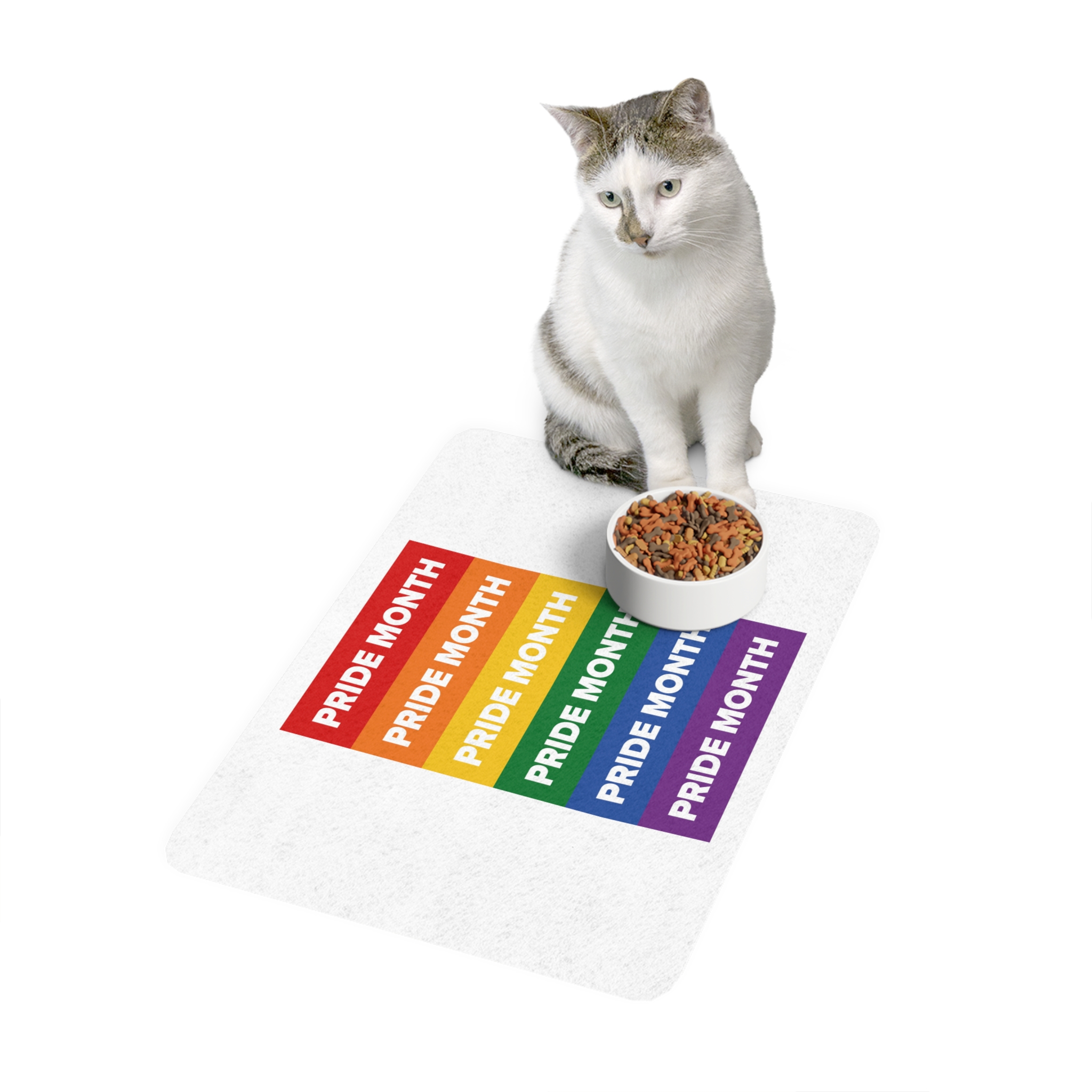 Lesbian Pride Design 20D8A9 Pet Food Mat 12x18 - Image 3