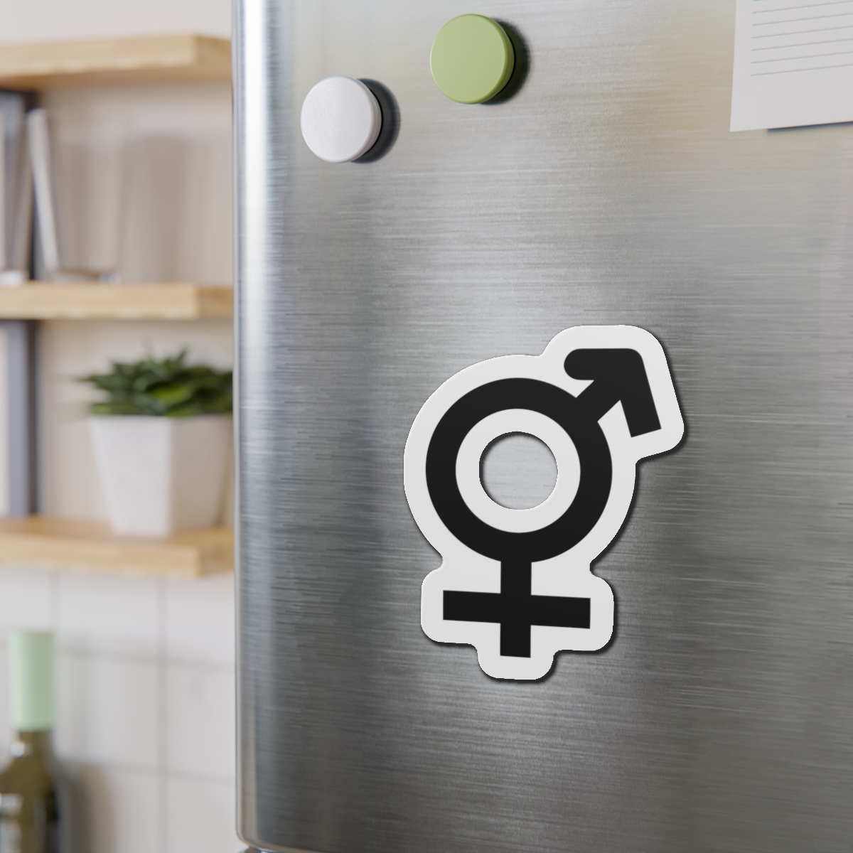Combined Gender Symbol Diversity Identity Die Cut Magnets - Image 15