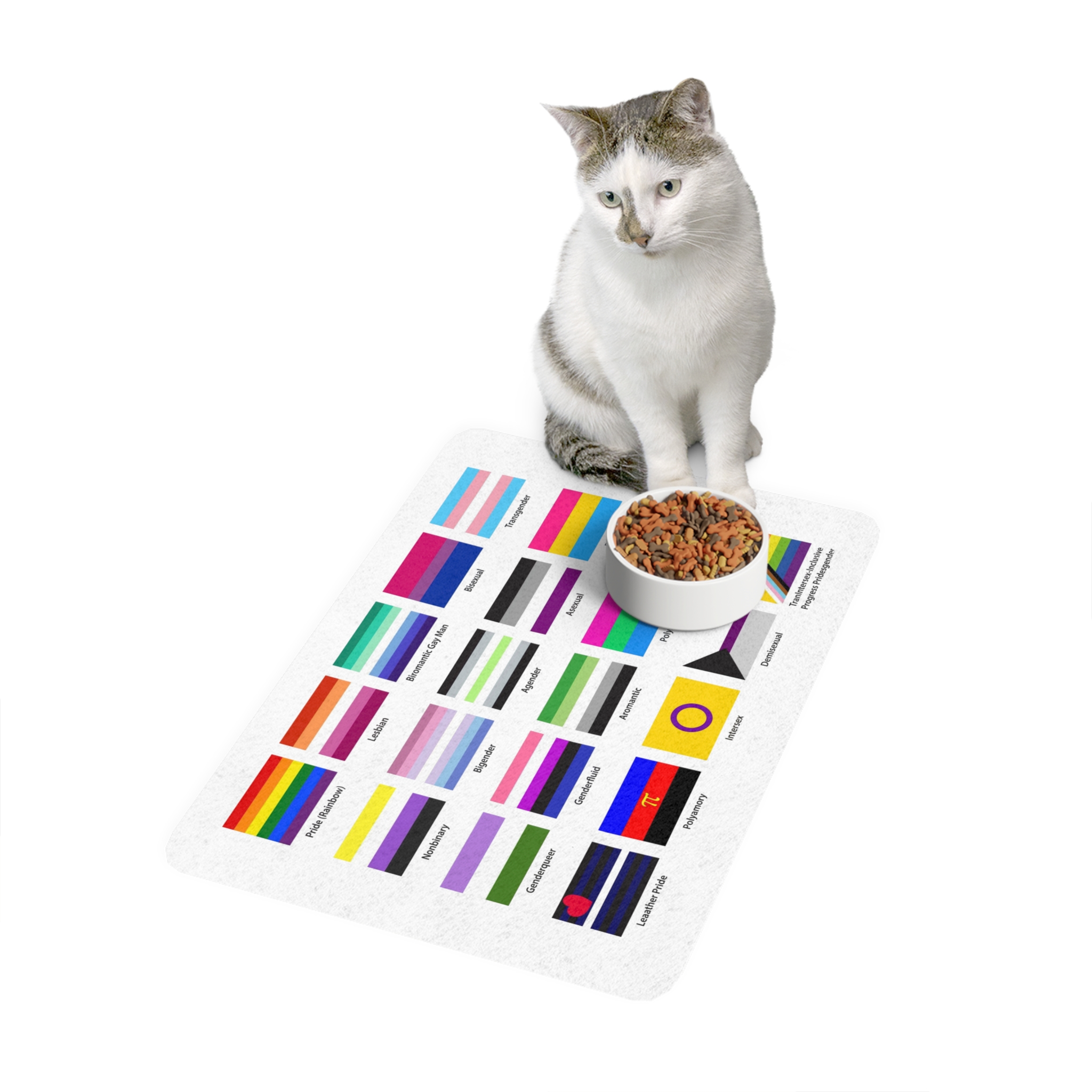 Lgbtq Community Flags Set Lgbt Sexual Identity Pride Flags Collection Rainbow Lesbian Gay Bisexual Pet Food Mat 12x18 - Image 3