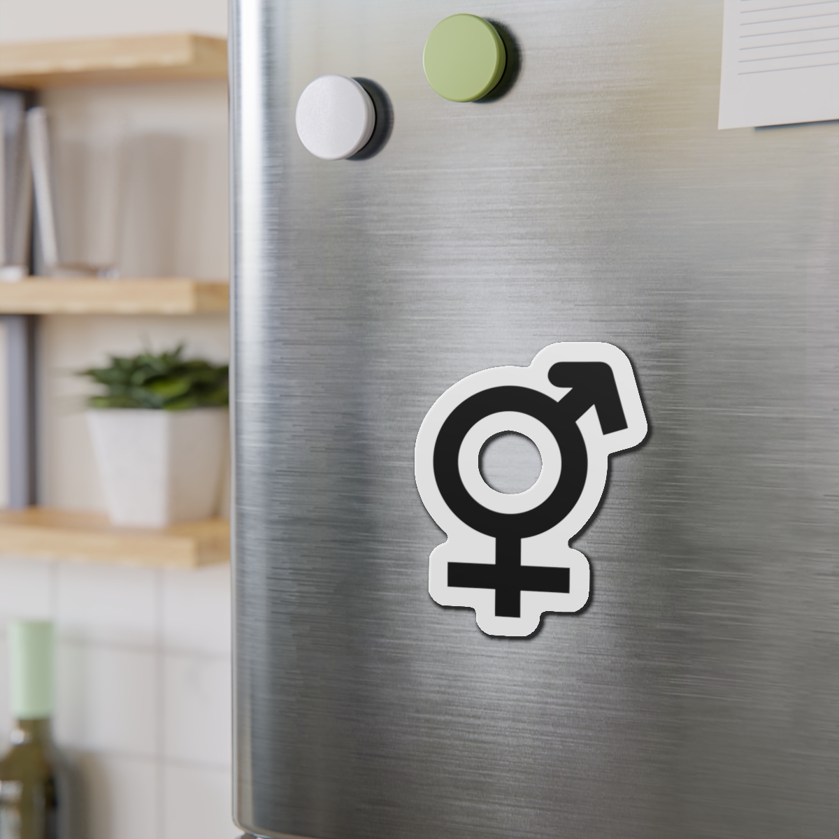 Combined Gender Symbol Diversity Identity Die Cut Magnets - Image 12
