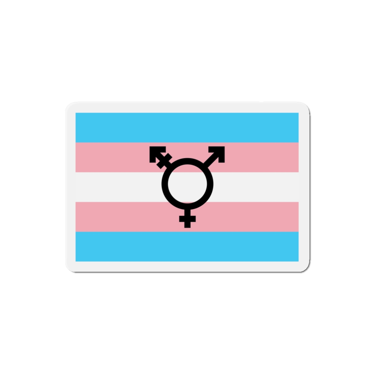 Lesbian Pride Design 8F6ADF Die Cut Magnets - Image 13