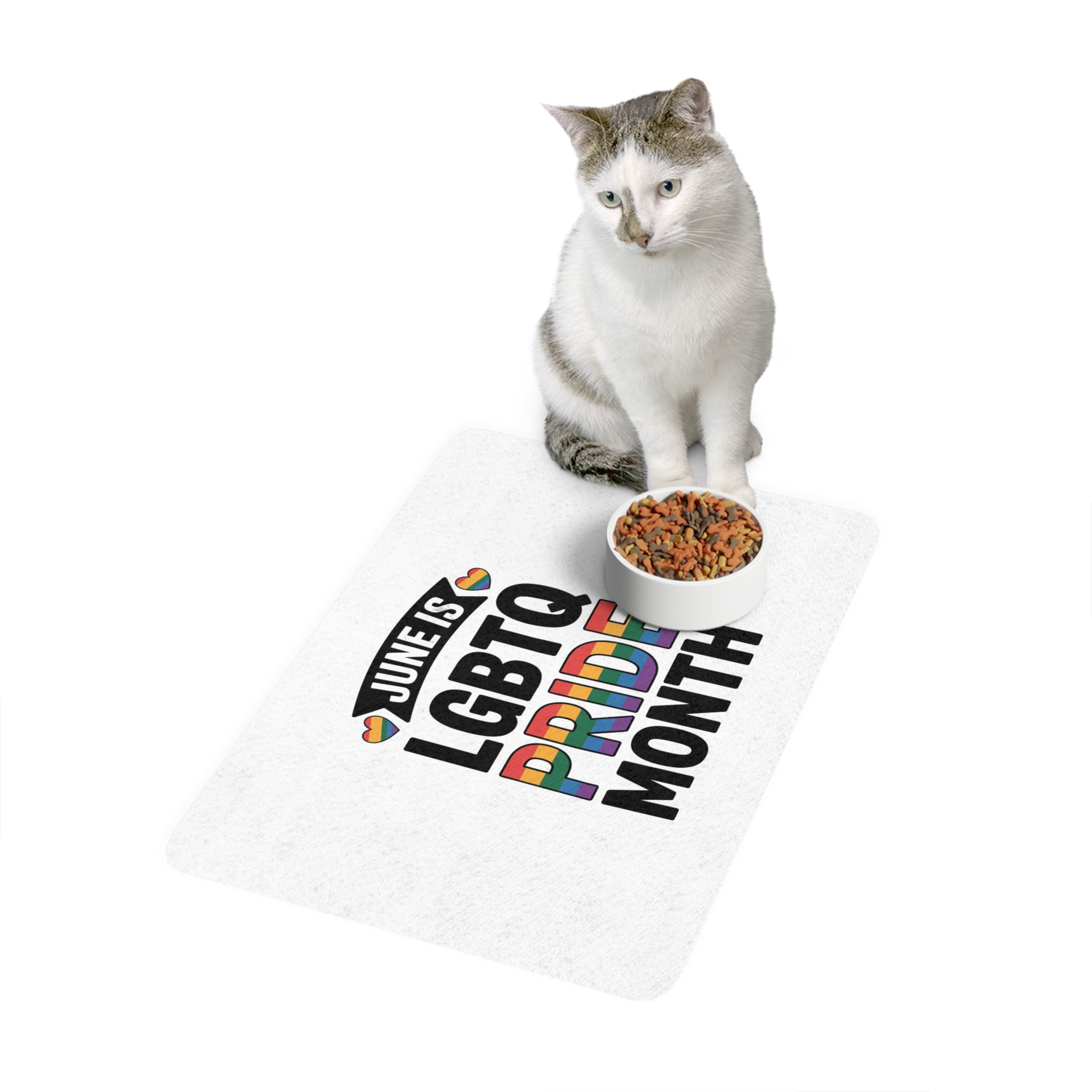 June Is Lgbtq Pride Month Colorful Text Pet Food Mat 12x18 - Image 3