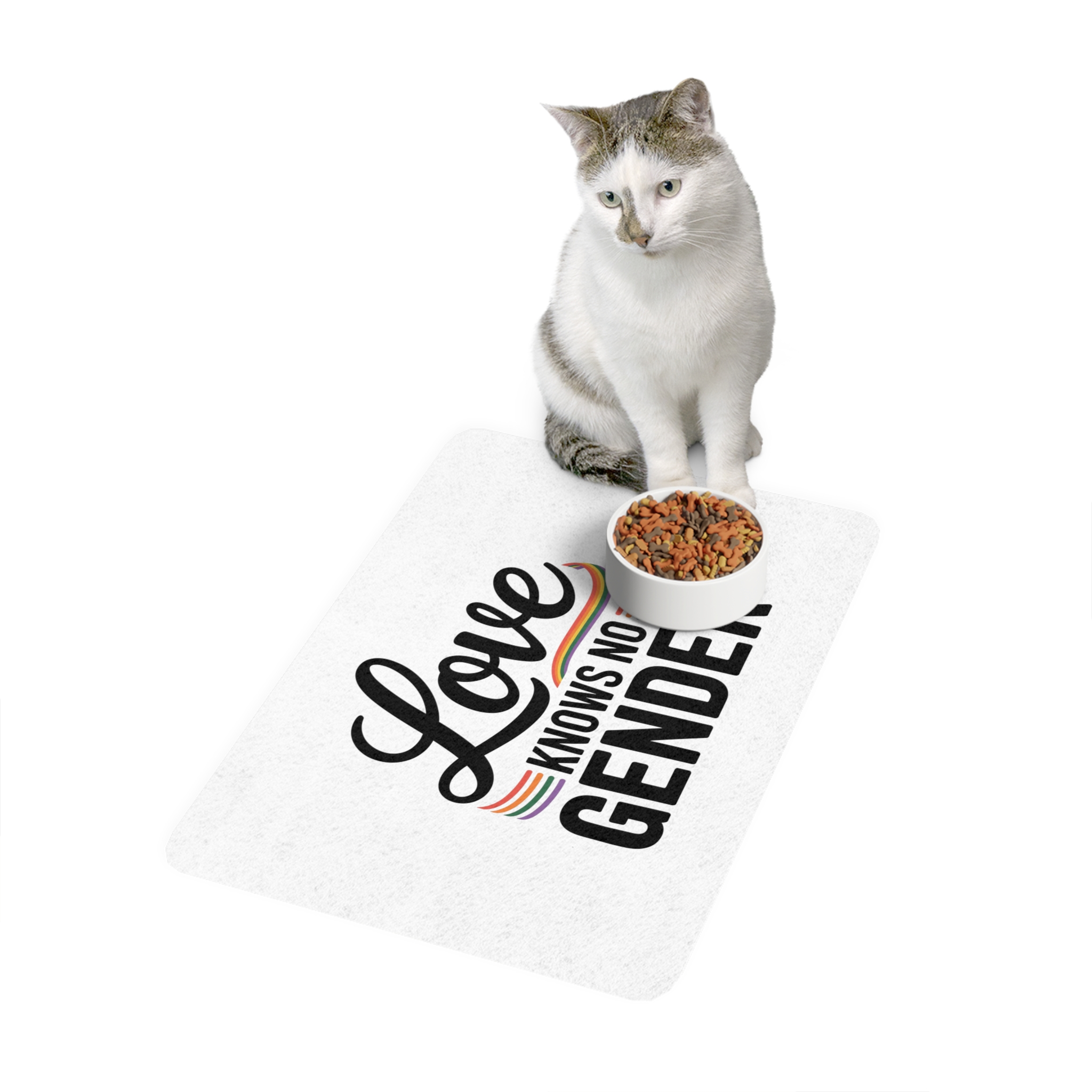 Love Knows No Gender T Shirt Design Isolated White Background 2 Pet Food Mat 12x18 - Image 3