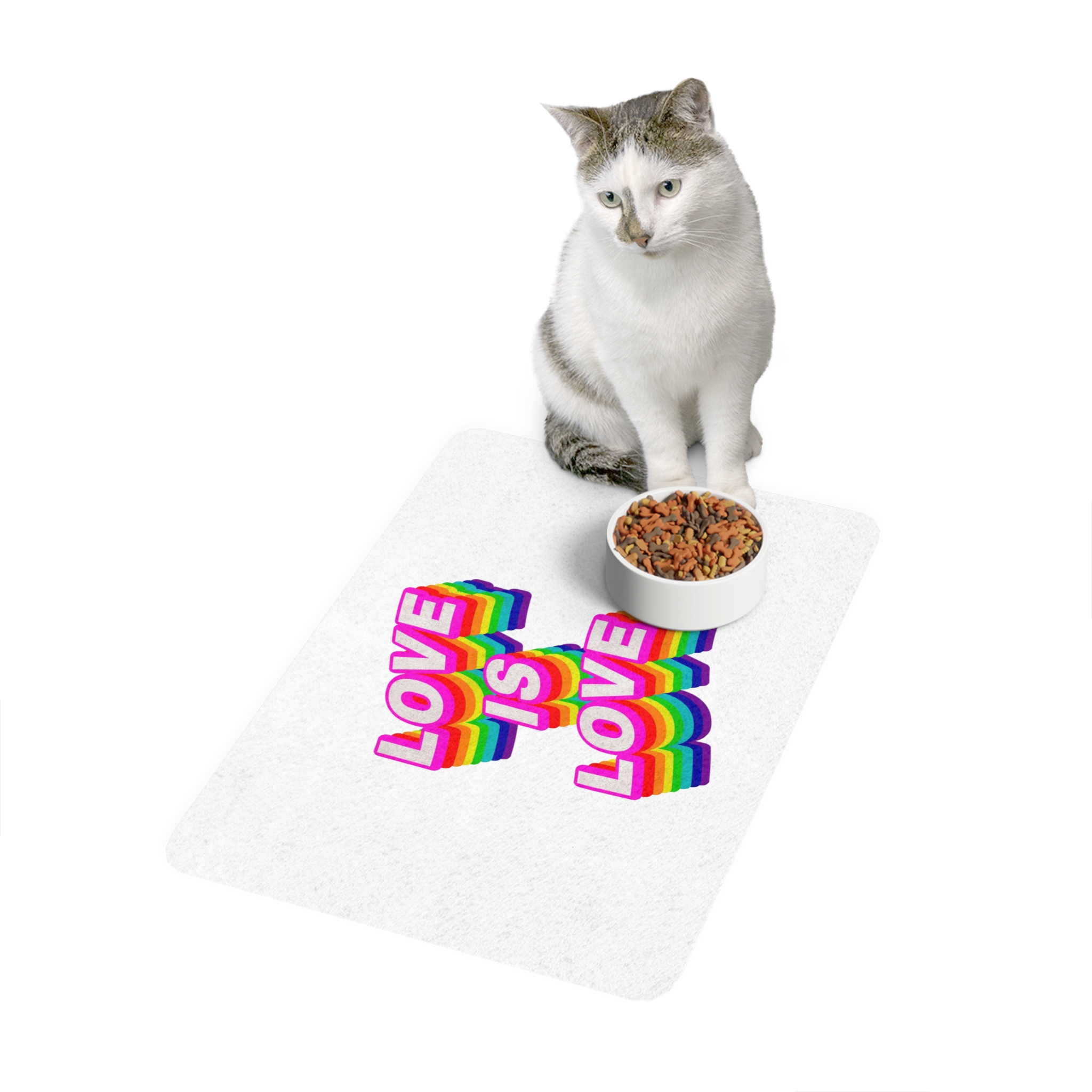 Rainbow Word Love Is Love Typography Design Element Pet Food Mat 12x18 - Image 3