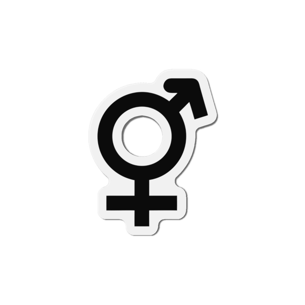 Combined Gender Symbol Diversity Identity Die Cut Magnets - Image 10