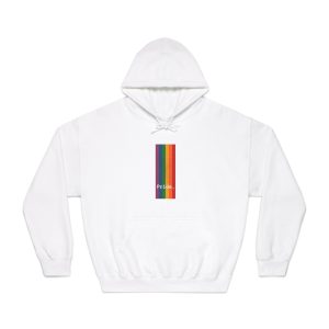 Poster With Rainbow Pride Concept Unisex Dryblend Hooded Sweatshirt