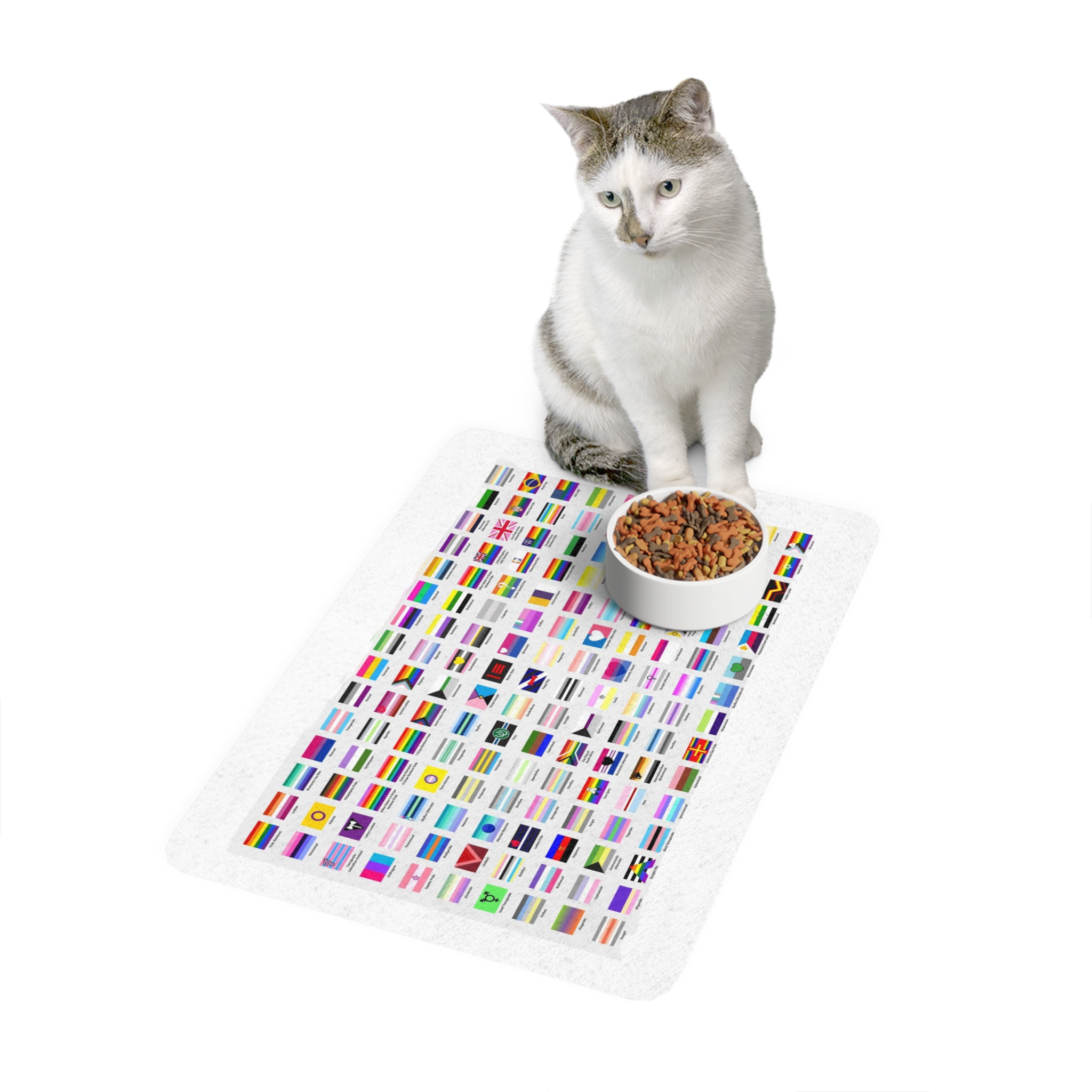 Colorful Lgbtq Pride Flags Collection Chart Representing Diverse Gender Sexual Identities Pet Food Mat 12x18 - Image 3