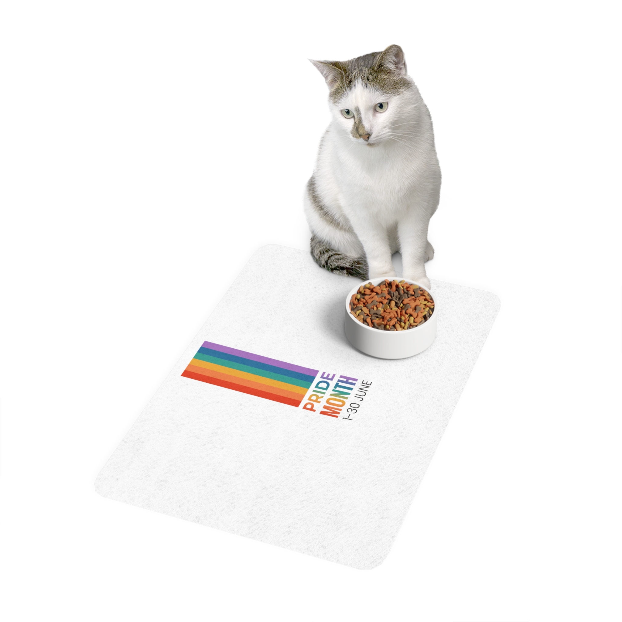 Lgbtq Pride Month Vertical Banner Card Poster Template With Rainbow Gay Parade Celebration Vector Pet Food Mat 12x18 - Image 3