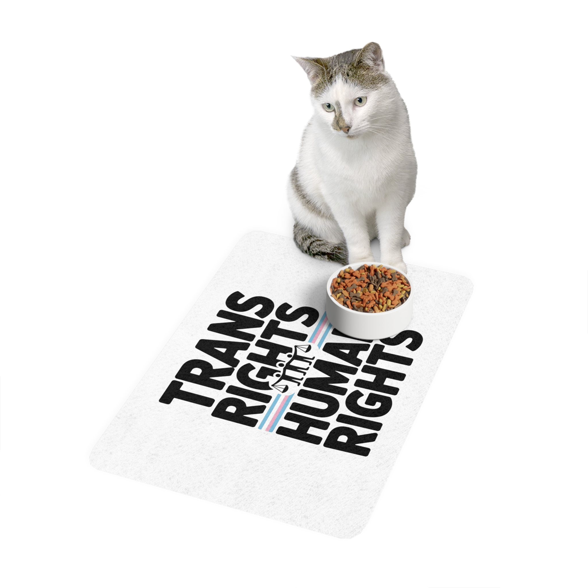 Trans Rights Human Rights T Shirt Design Isolated White Background Pet Food Mat 12x18 - Image 3
