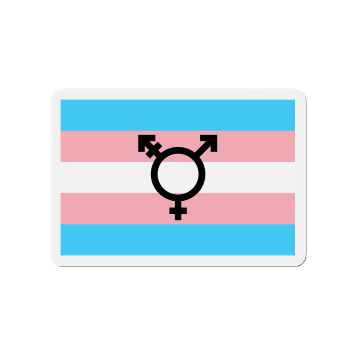Lesbian Pride Design 8F6ADF Die Cut Magnets