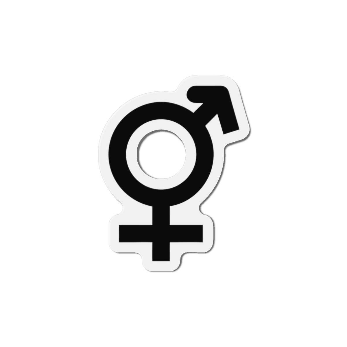 Combined Gender Symbol Diversity Identity Die Cut Magnets - Image 4