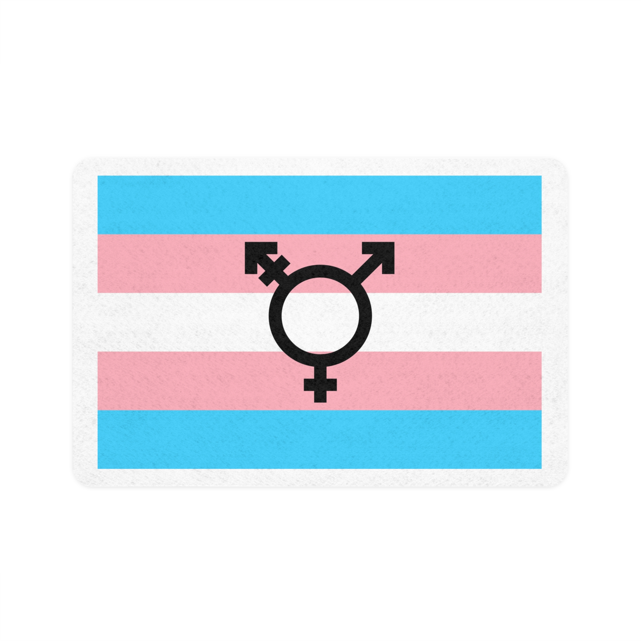 Lesbian Pride Design 8F6ADF Pet Food Mat 12x18