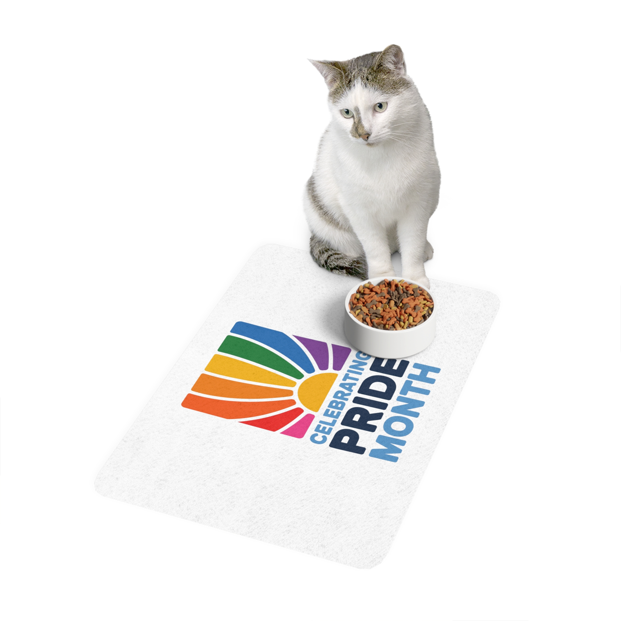 Celebrating Pride Month Colorful Graphic Design Pet Food Mat 12x18 - Image 3